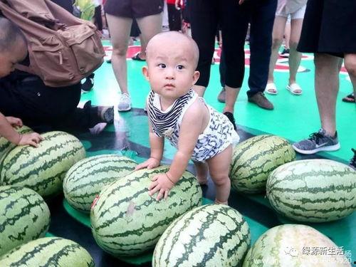 吃瓜汇总,吃瓜群众视角下的娱乐圈风云录