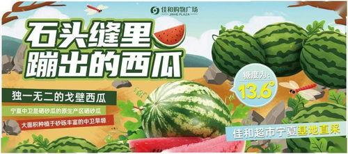 吃瓜大赛免费,吃瓜大赛免费狂欢,全民瓜王争霸赛即将开启!