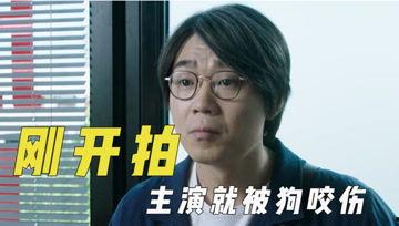 娱乐吃瓜君大号,娱乐吃瓜君大号带你领略幕后风云