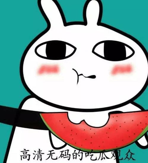 吃瓜表情包头像女,揭秘吃瓜表情包头像女生